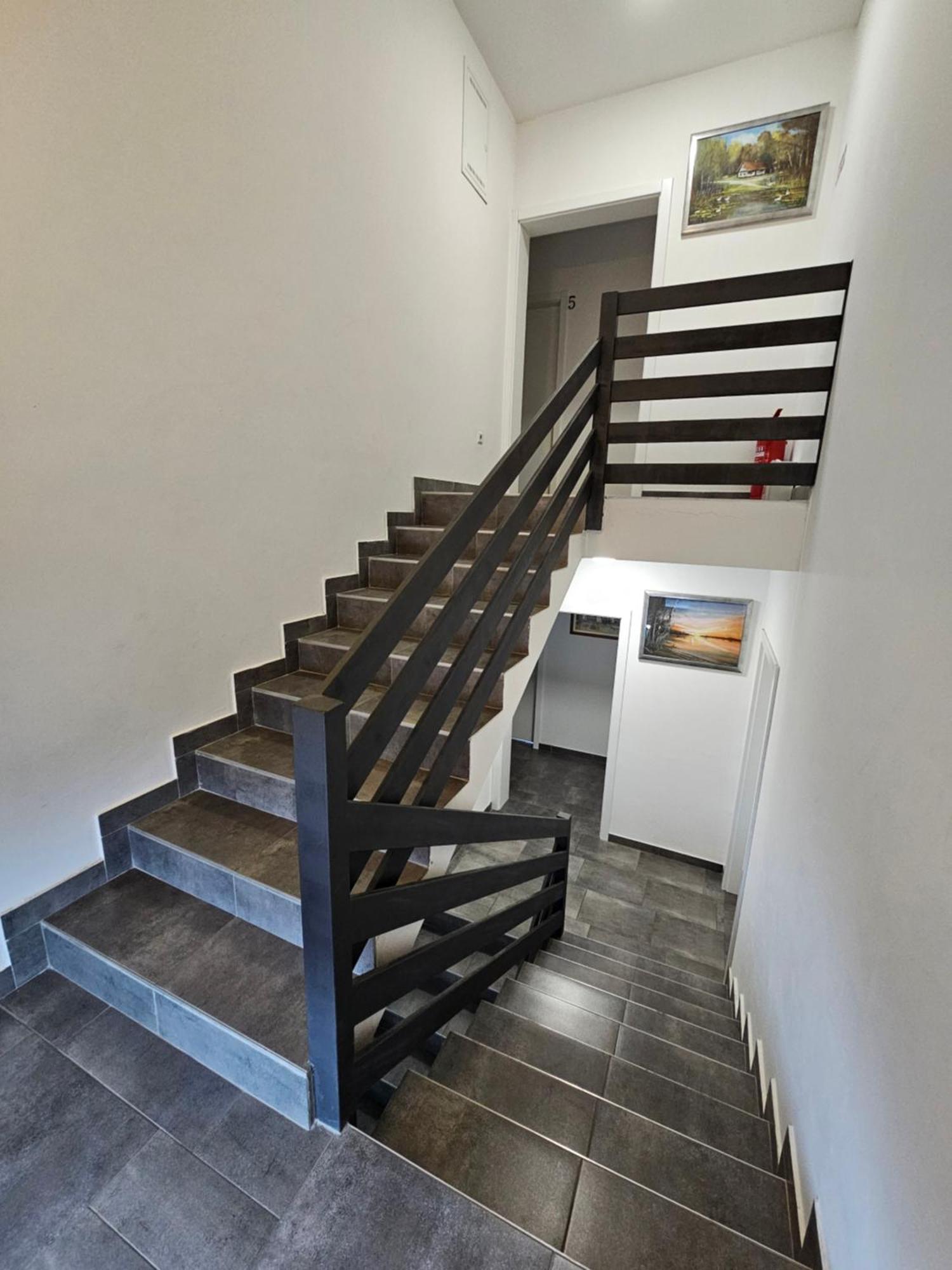 Filipovic Rent A Car & Apartments Selnica Scitarjevska Bagian luar foto