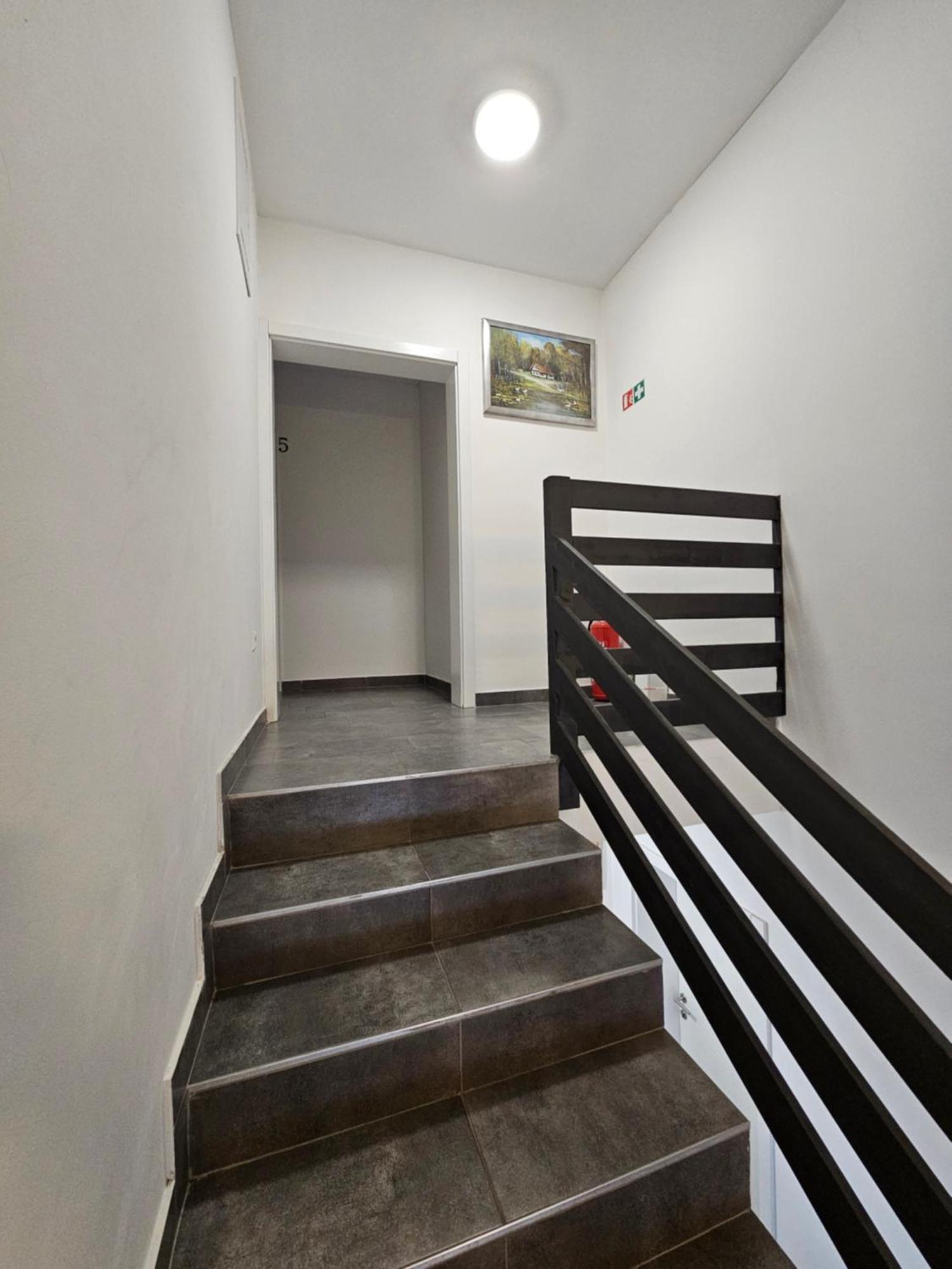 Filipovic Rent A Car & Apartments Selnica Scitarjevska Bagian luar foto