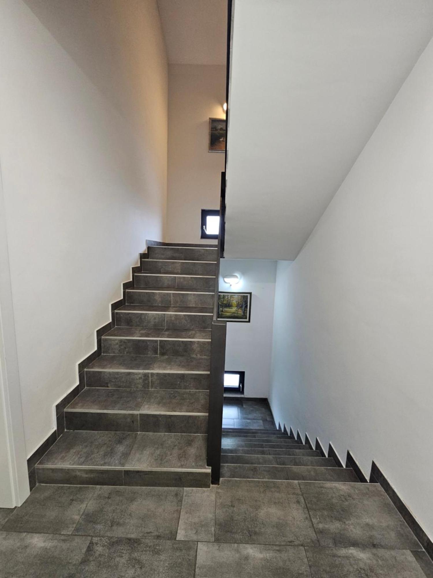 Filipovic Rent A Car & Apartments Selnica Scitarjevska Bagian luar foto