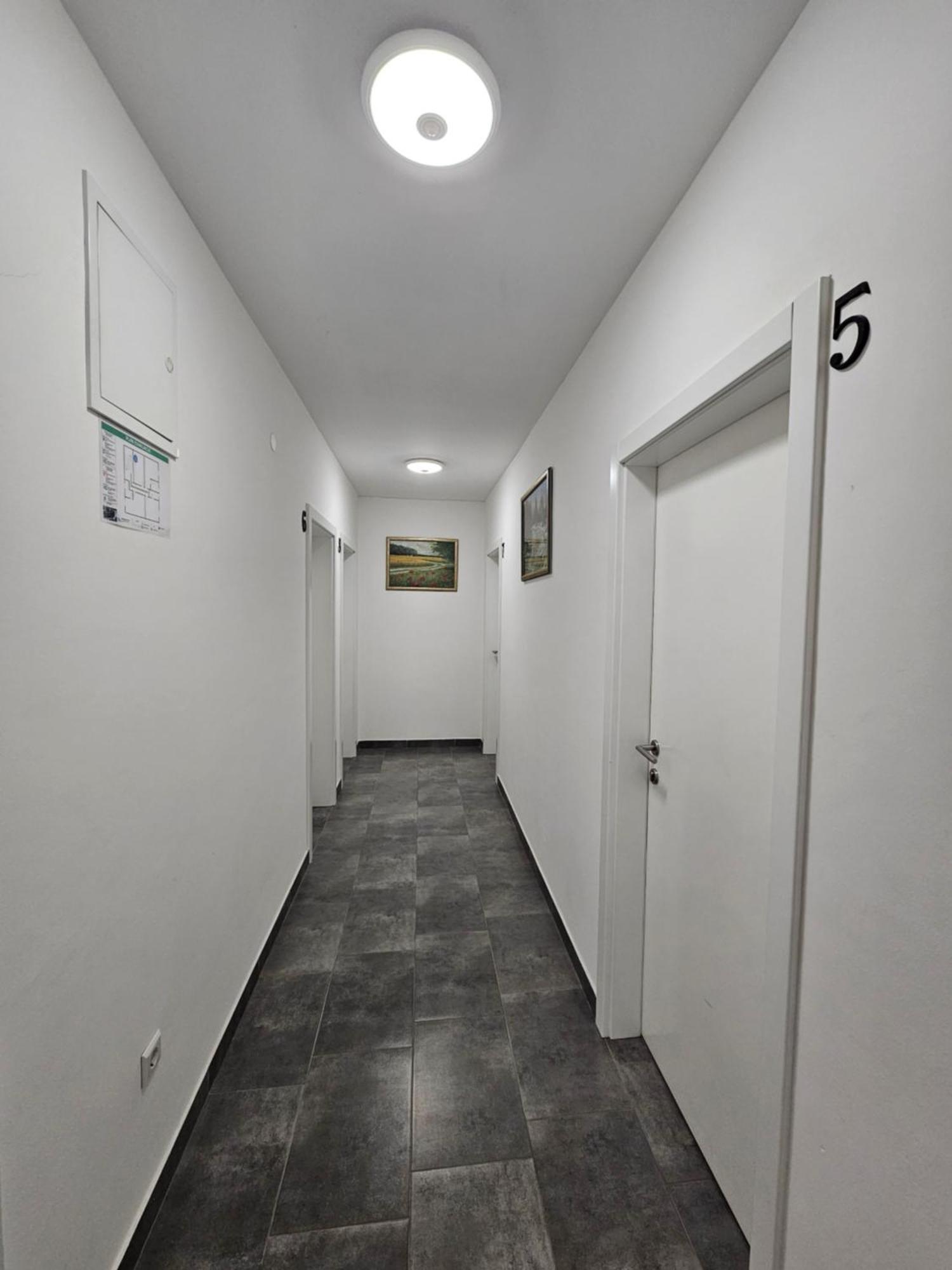 Filipovic Rent A Car & Apartments Selnica Scitarjevska Bagian luar foto