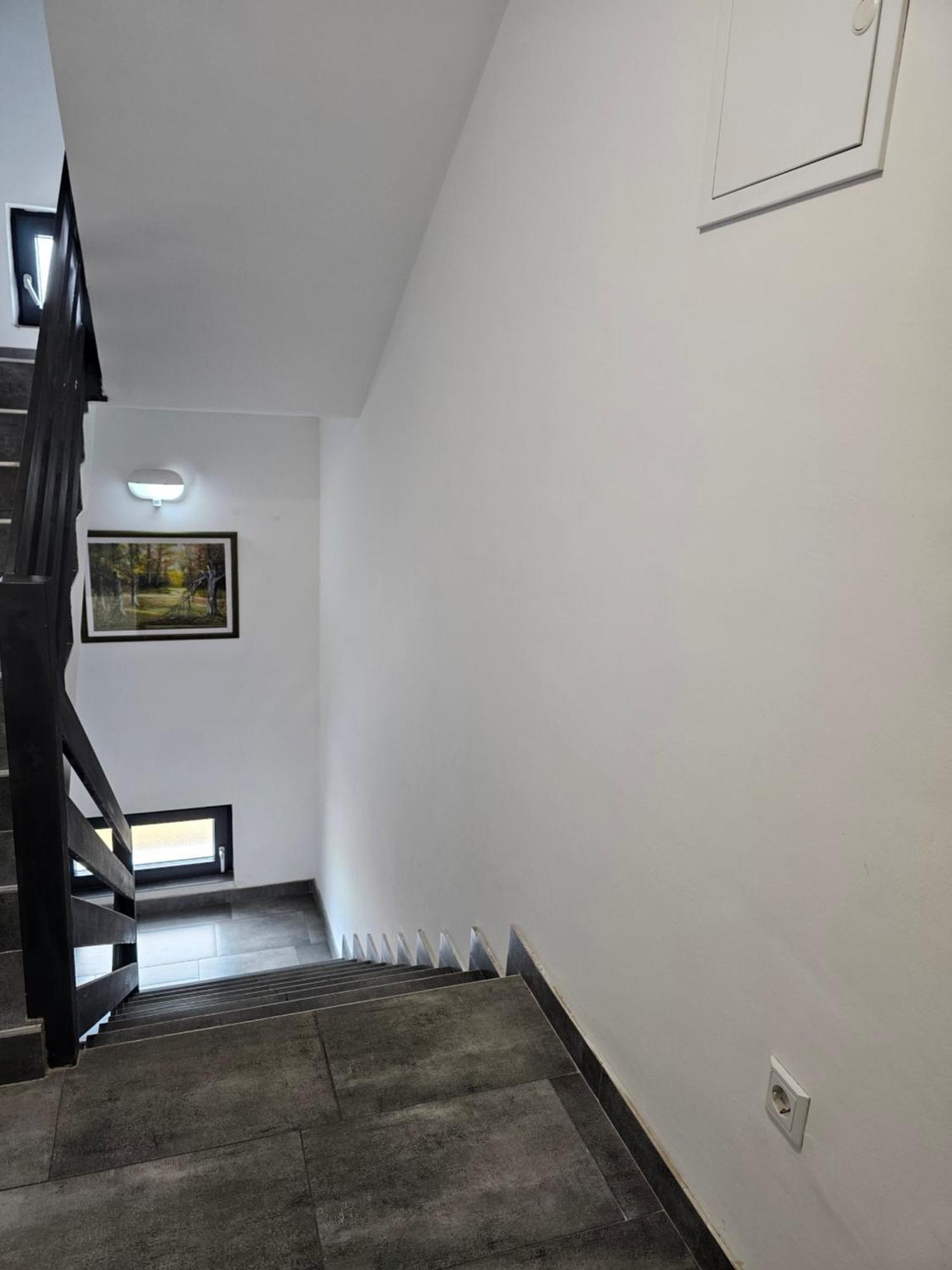 Filipovic Rent A Car & Apartments Selnica Scitarjevska Bagian luar foto